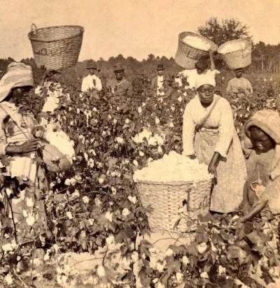 Nemezja - #zatrzymanewkadrze #fotohistoria
Niewolnicy na polu bawełny. Georgia ,USA,...