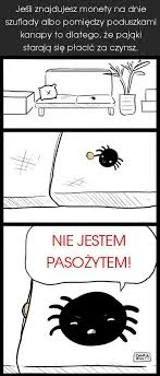 Ziombello - Jeszcze lepsza jakość!

#humorobrazkowy #pajonk