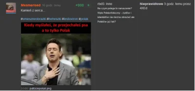 blogger - @Noct: Sam dla beki zgłosiłem wpis @Mesmerised - żeby zobaczyć reakcję modó...