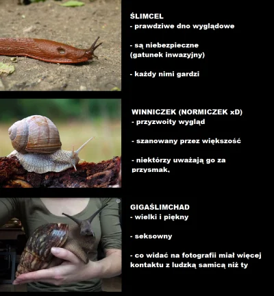 dlaczegoprzegrywasz - #przegryw #humorobrazkowy #gigachad #smiesznypiesek #logikarozo...