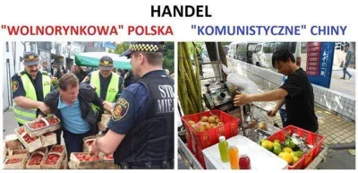 SpokojnyLudzik - Polska vs Chiny
#polityka #korwin