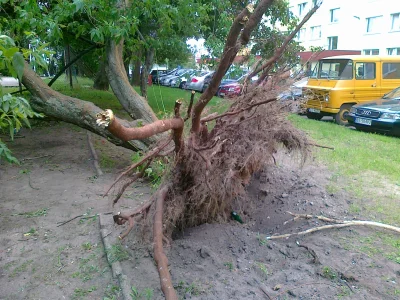 A.....o - Tak oto niedaleko miejsca gdzie mieszkam wyrwało drzewo z korzeniami podcza...