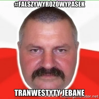 thisisthesix - #falszywyrozowypasek #heheszki #humorobrazkowy