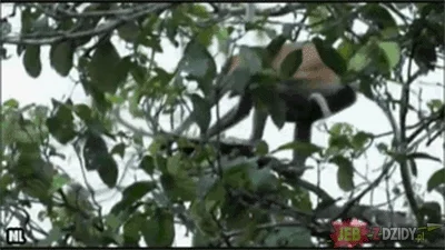 Sledger - #heheszki #humorobrazkowy 

chyba dawno nie było :D