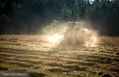 B.....k - Wybiegłem dzisiaj na pole, akurat rosło tam dużo zboża. Biegłem za dziewczy...