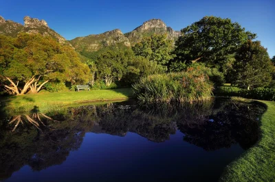 tomyclik - #azylboners #earthporn #afryka 
Narodowy Ogród Botaniczny Kirstenbosch, R...