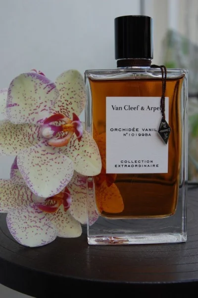 drlove - #perfumy #150perfum 175/150

Van Cleef & Arpels Collection Extraordinaire ...