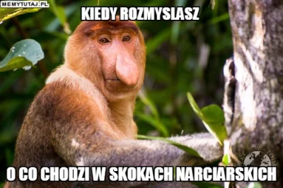 ArcyMirek - #skoki #mafia #nwo #polska #polityka #polak #humorobrazkowy