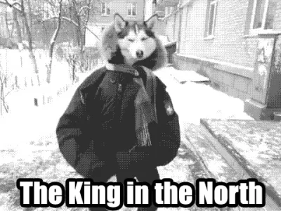 J.....d - #robb #gameofthrones