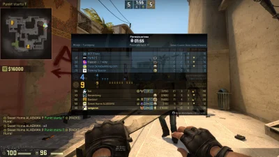 sergeron - #2137 #csgo #gownowpis