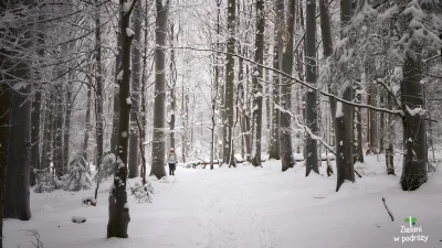 Z.....u - Cześć!
Dzisiaj góry inne niż wszystkie ( ͡° ͜ʖ ͡°) Góry Świętokrzyskie uch...