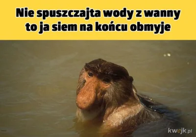 tojestmultikonto - Ja mam tylko nadzieję, że nikt jej nie pomaga przy produkcji. ( ͡°...