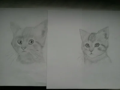 kamka - Ten sam kot po lewej z początków nauki :) po prawej dzisiejszy rysunek :D nie...