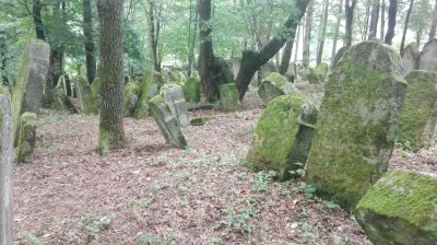 Olenska - Cmentarz żydowski w Lesku. 
Smutne, że miejsce, w którym rozstrzelano wielu...