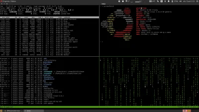 Speedy - #linux #ubuntu #tmux #linuxmasterrace #pokazpulpit