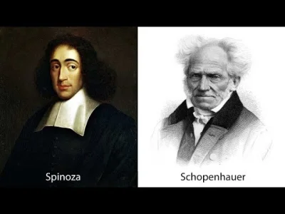 eoneon - O ja, ale fajny niszowy kanał odkryłem - #filozofia #spinoza #shopenhauer #a...