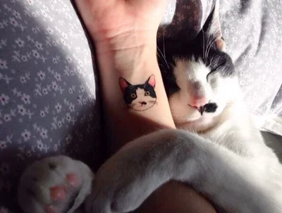 iwarsawgirl - :>
#koty #tatuaze #smiesznypiesek #zwierzaczki