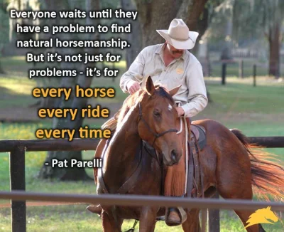 PaulStanley - Dzisiaj będzie pogadanka o tym jak obchodzić się z koniem dla każdego -...