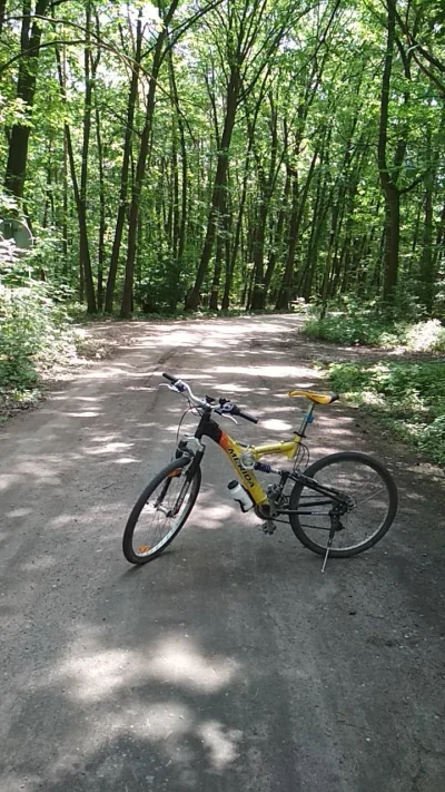 smieszqje - Pierwszy raz dłuższa traska w życiu, 42 km. Rower właściwie nie ruszany p...