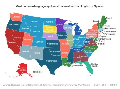 nobrainer - USA po wykluczeniu hiszpańskiego i angielskiego

#usa #mapy #ciekawostk...