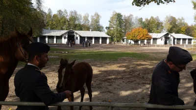 m.....f - Będąc dziś w pracy, miałem przyjemność odwiedzić miejsce, z którego chyba p...