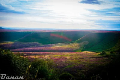 ban19 - Whitby Moors #fotografia #lightroom #wrzosowisko