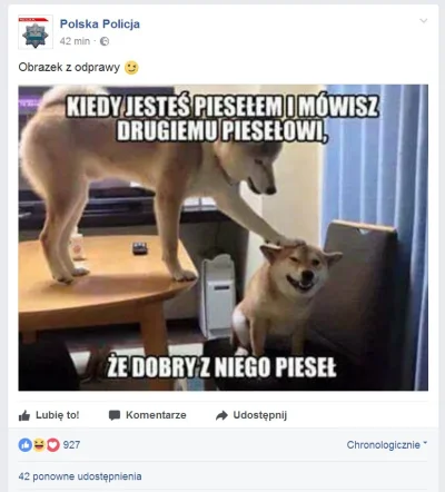 bluebluesky - Czy to prawdziwe życie? xD
https://www.facebook.com/PolicjaPL/
#hehes...