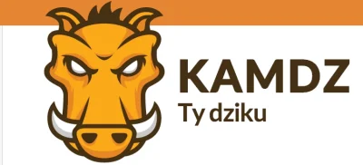 Nadrill - @kamdz: