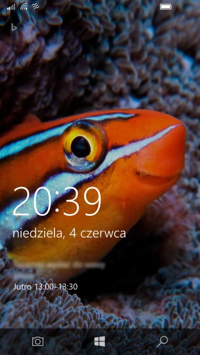 Cesarz_Polski - #bingnadzis #windowsphone #smiesznypiesek

Wczoraj było to