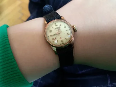 elady1989 - #chwalesie zegarek Delbana lata 60 -te od Babci 
#pokazzegarek #zegarki #...