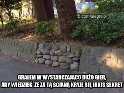 N.....u - #heheszki #humorobrazkowy #gry