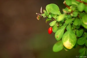 antygon - Coś mi sie poprzednio z linkami pomerdało, tu poprawny link do #foto zabawy...