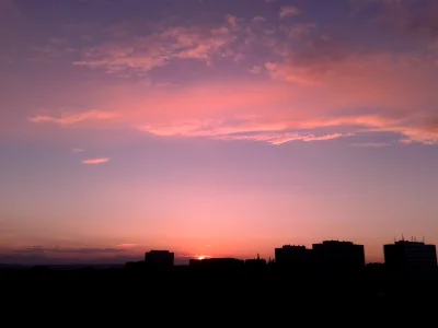 Sciurus - California #sunset nad #krakow (｡◕‿‿◕｡)
#fotografia #zdjecia