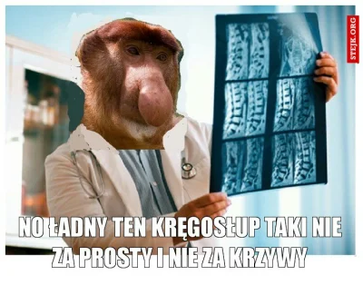 tooreck - #nosacz #nosaczsundajski #polak #medycyna #radiologia