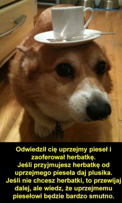 pawel_je - Dziękuję Pan Pieseł (｡◕‿‿◕｡)
#sylwesterzwykopem #heheszki #humorobrazkowy