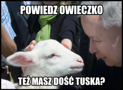 p.....4 - @kosikozaki: Owce też?