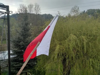 Tosiek14 - Wiem że drzewiec byle jaki, zdjęcie też, ale robię #pokazflage