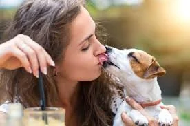 f.....z - Kto uważa,że całowanie psa w pysk jest obrzydliwe i chore daje plusa
#psy #...