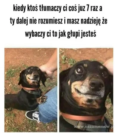 BureQ - Takie prawdziwe...

Źródło: https://oazamemow.pl/m/meme_rPzmjTRy3khCffBBSFM...