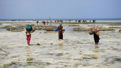 m.....s - Dzisiejsze ‪#‎zdjeciednia‬ zabiera nas do Zanzibaru.
#nationalgeographic #...