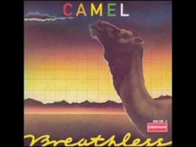 Lifelike - #muzyka #rockprogresywny #camel #70s #lifelikejukebox
22 września 1978 r....