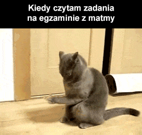 medykydem - #heheszki #smiesznygif