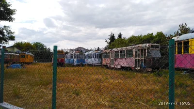 Krachu - Koleś ma centralnie kolekcję tramwajów na działce xD. Szanuję w opór. Już za...