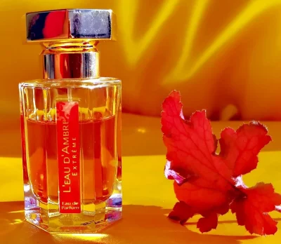 dr_love - #150perfum #perfumy 114/150

L'Artisan Parfumeur L'Eau d'Ambre Extrême (2...