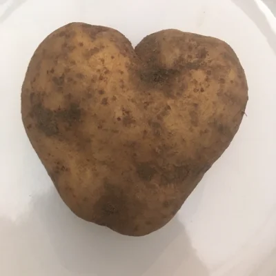 P.....x - Nawet ziemniaki mnie kochają (ʘ‿ʘ) #gotojzwykopem #pyraboners