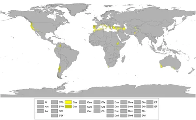 Pannoramix - Mapa prezentuje rozmieszczenie klimatów śródziemnomorskich na świecie. C...