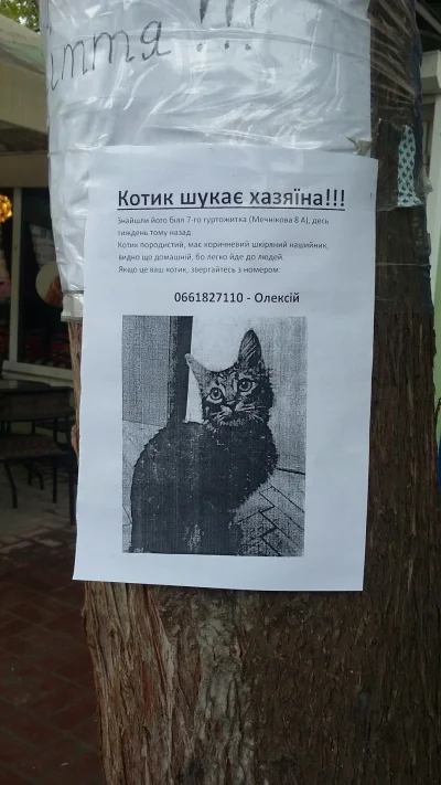 Risorius - #koty #heheszki #zguba

#!$%@? Mircy!! #!$%@? się! kot uciekł, jeśli ktoś ...