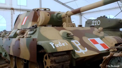 mrChivas - „Pudel”. "Pudel", znany też jako "Magda", to egzemplarz niemieckiego czołg...