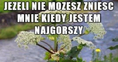 biliard - Coś cicho na temat sosny barszczowskiego, a przecież lato idzie. O kleszcza...