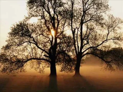 blekitny_orzel - Wiecie, że takie Golden Life miało więcej utworów na swoich płytach ...